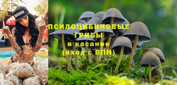 ECSTASY Шали