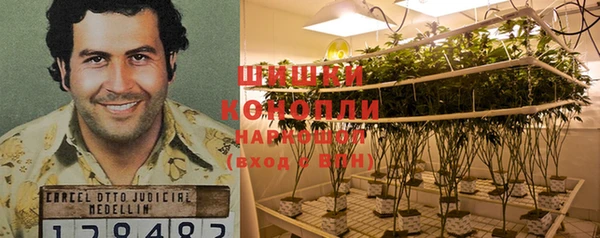 марки lsd Гусев